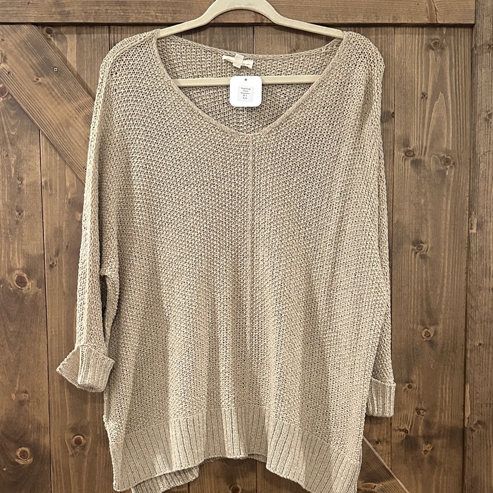 Eesome Beige V-Neck Sweater